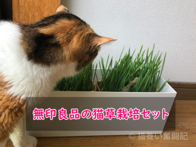 無印良品の猫草栽培セット